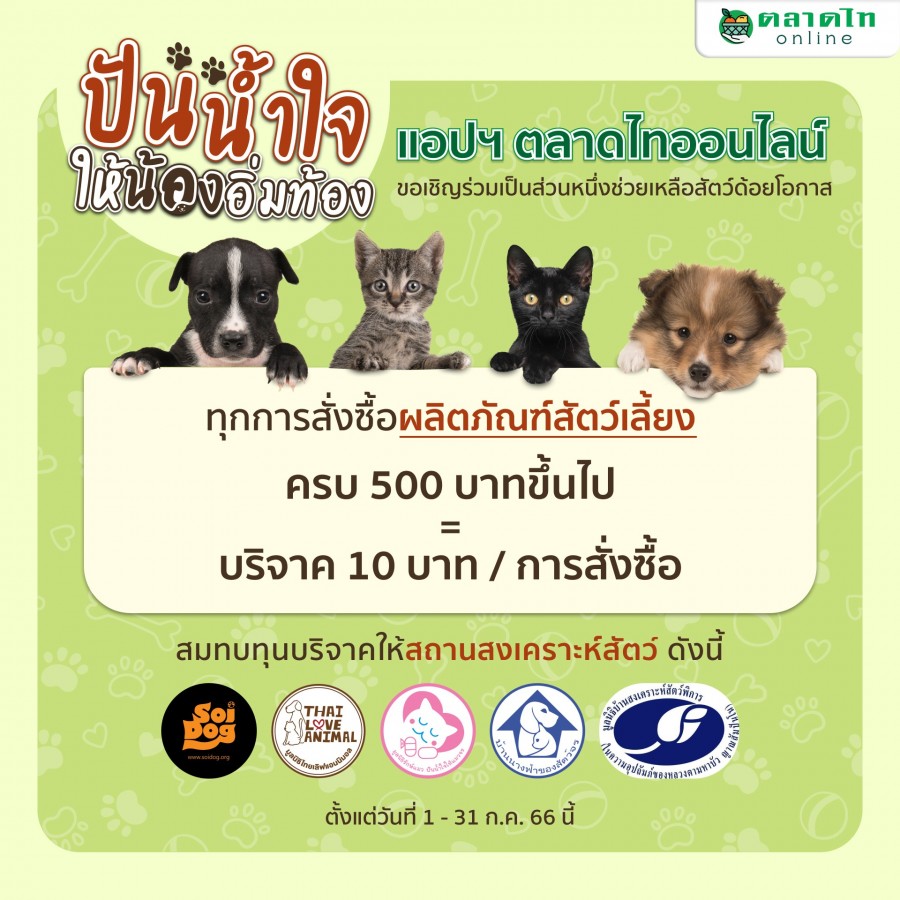 Talaadthai Online (ตลาดไทออนไลน์) ชวนช่วยเหลือสัตว์ด้อยโอกาส จัดแคมเปญ “ปันน้ำใจ ให้น้องอิ่มท้อง” สมทบทุน 5 สถานสงเคราะห์สัตว์