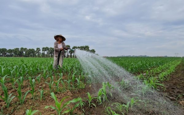 CPP Myanmar ขับเคลื่อนการพัฒนาแหล่งน้ำช่วยเหลือเกษตรกร สู่การมีรายได้ 365 วัน