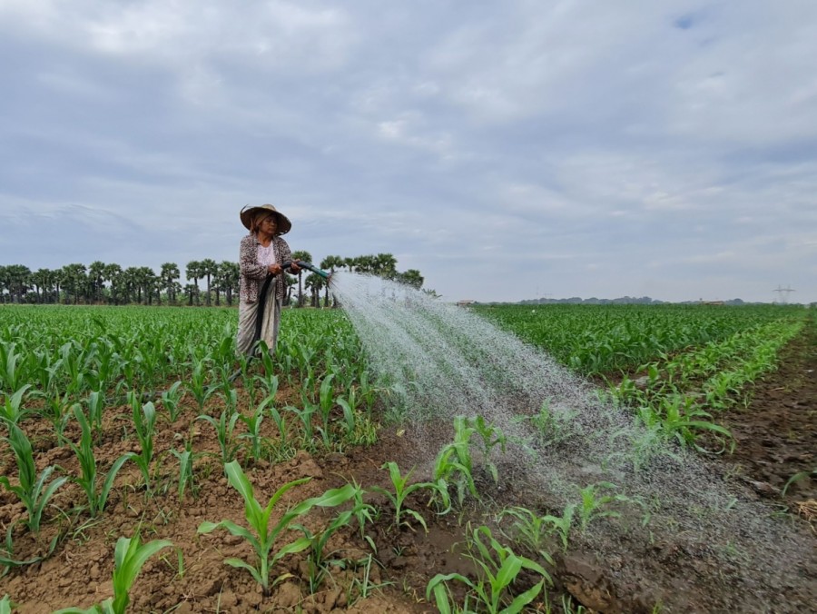 CPP Myanmar ขับเคลื่อนการพัฒนาแหล่งน้ำช่วยเหลือเกษตรกร สู่การมีรายได้ 365 วัน