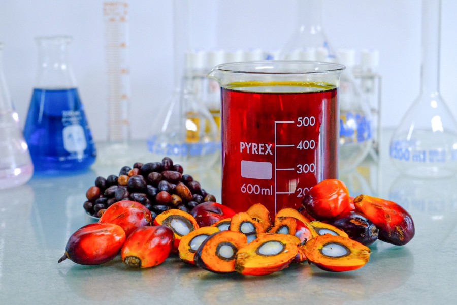 “กลุ่มสมอทอง” ยื่นไฟลิ่ง ขาย IPO 231.60 ล้านหุ้น เข้า SET ระดมทุน ยกระดับผู้นำอุตสาหกรรมผลิต “น้ำมันปาล์มดิบ”