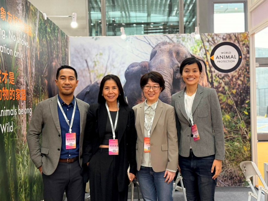 องค์กรพิทักษ์สัตว์แห่งโลกระบุไทยพร้อมขึ้นแท่นศูนย์กลาง Elephant-Friendly Tourismรองรับกระแสนักท่องเที่ยวจีนที่ใส่ใจสวัสดิภาพสัตว์และการท่องเที่ยวเชิงจริยธรรมเพิ่มขึ้น